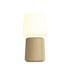 Ambience - Lamp Intelligent+ & Oslo base