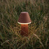 Cone i Chestnut – miljöbild