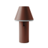 Cone i Chestnut från sackit