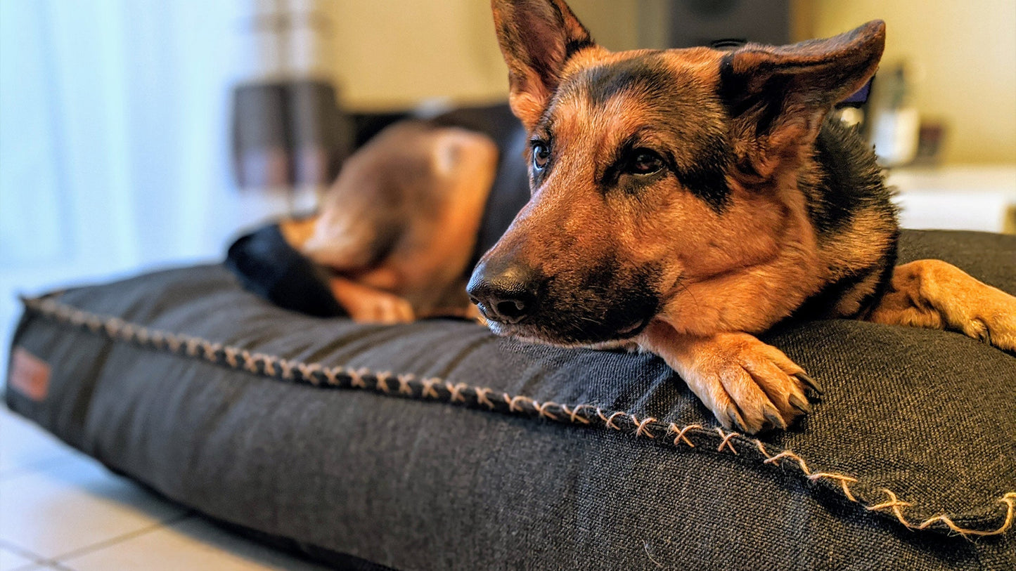 Dog bed - Hygienisk och vattenavvisande hundbädd