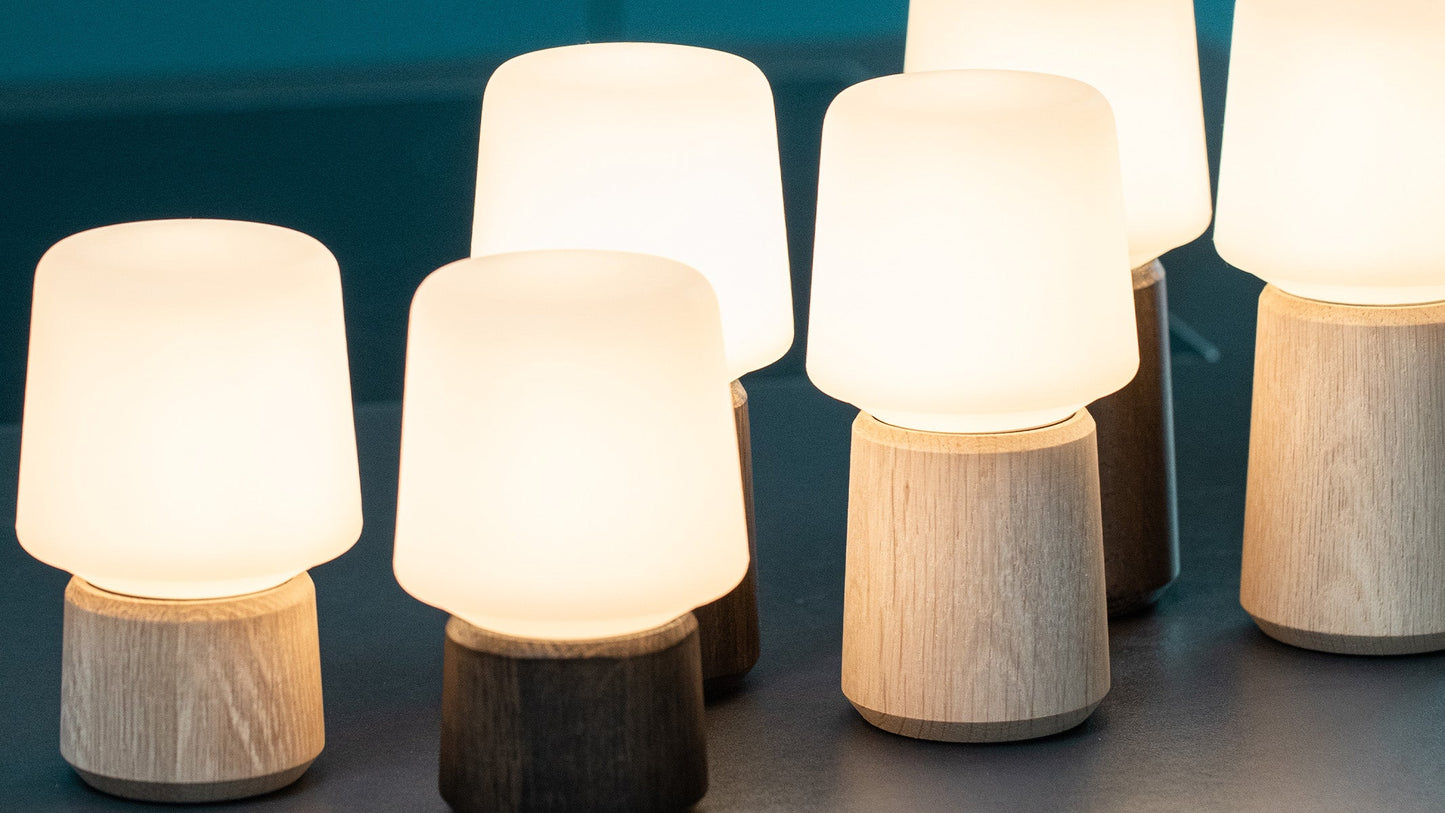 Ambience - Lamp Intelligent+ & Oslo base - Inomhuslampa med lampfot i ek