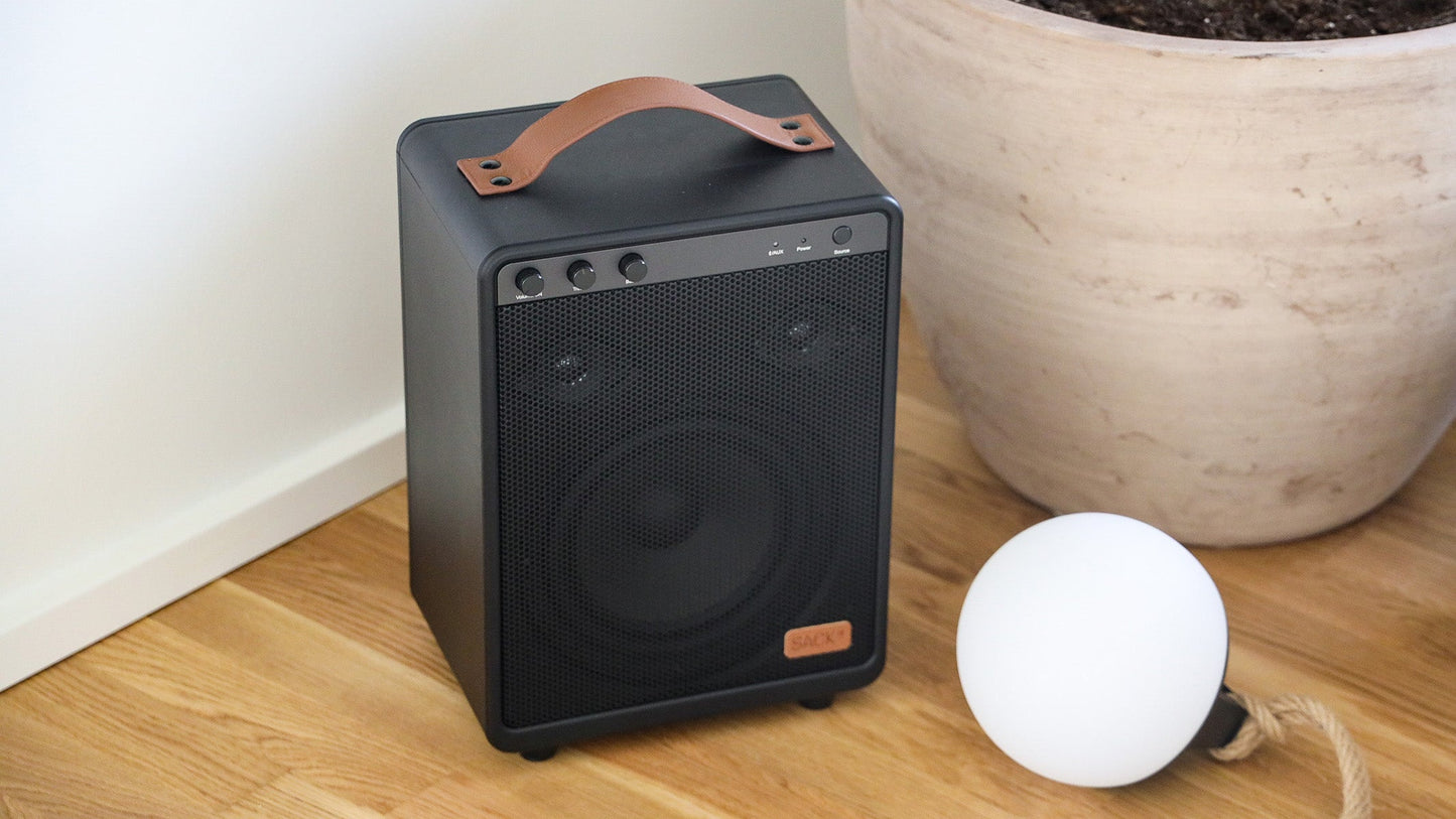 Boom 150 - High power portable speaker