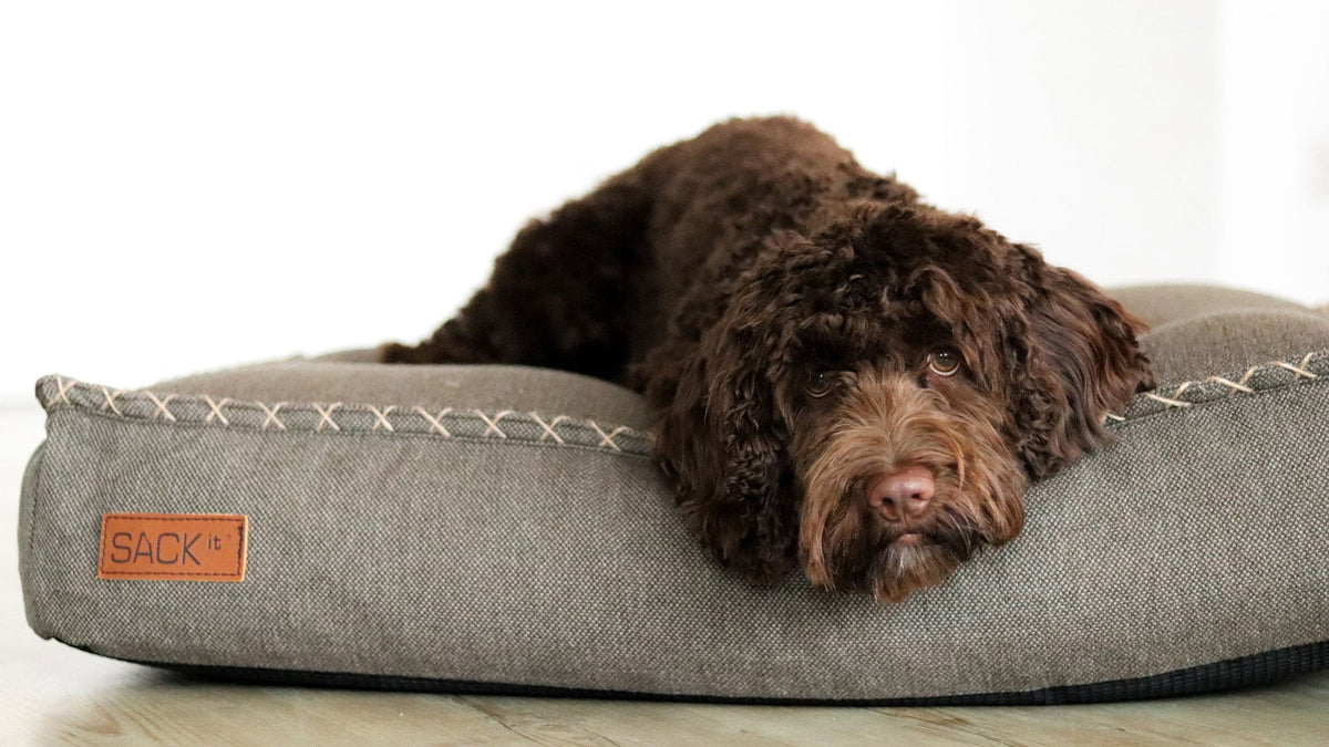 Dog bed - Hygienisk och vattenavvisande hundbädd