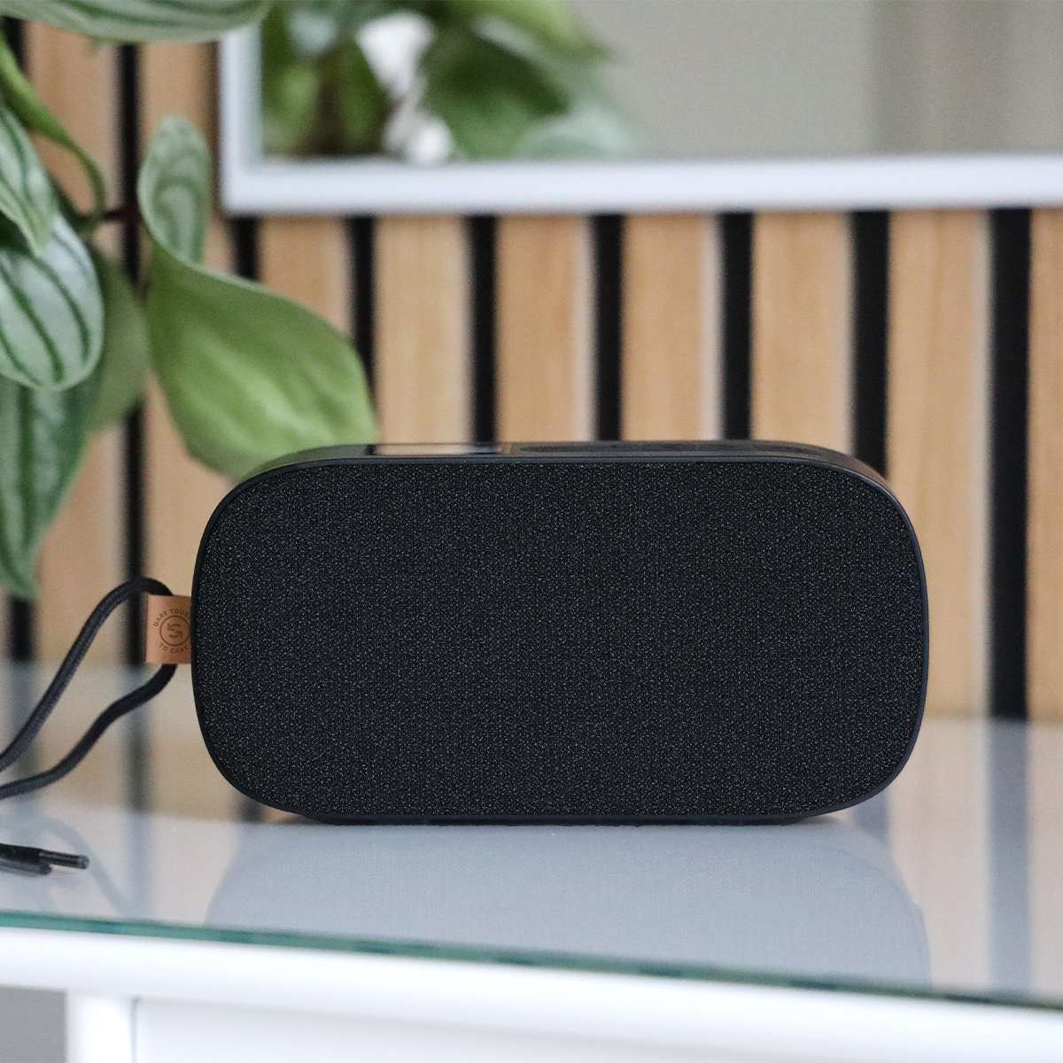 Go 300 Care - Uppladdningsbar Bluetooth-högtalare med FM/DAB+-radio