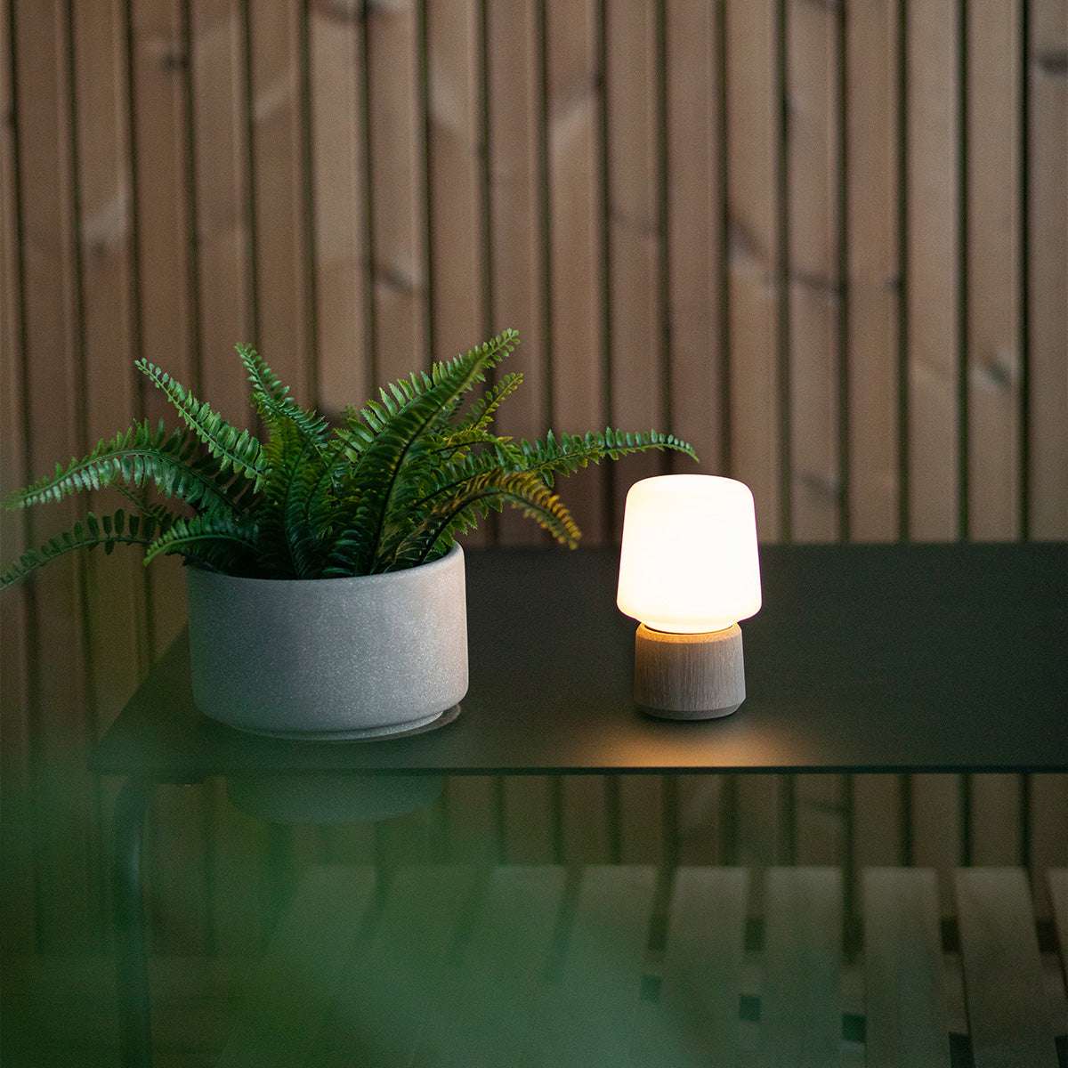 Liten bordslampa med varmvit lampskärm och bas i trä på ett mörkt bord bredvid en grön ormbunke i en varm inomhusmiljö