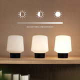 Ambience - Lamp Intelligent+ & Oslo base