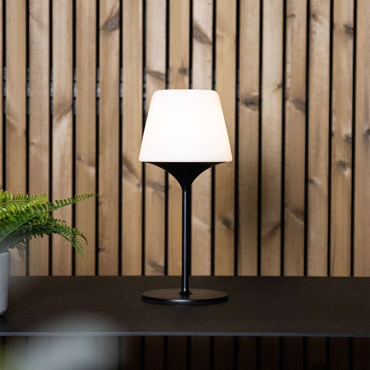 Ambience Lamp Intelligent with Aalborg base in stainless steel and frosted glass, outdoor lighting.