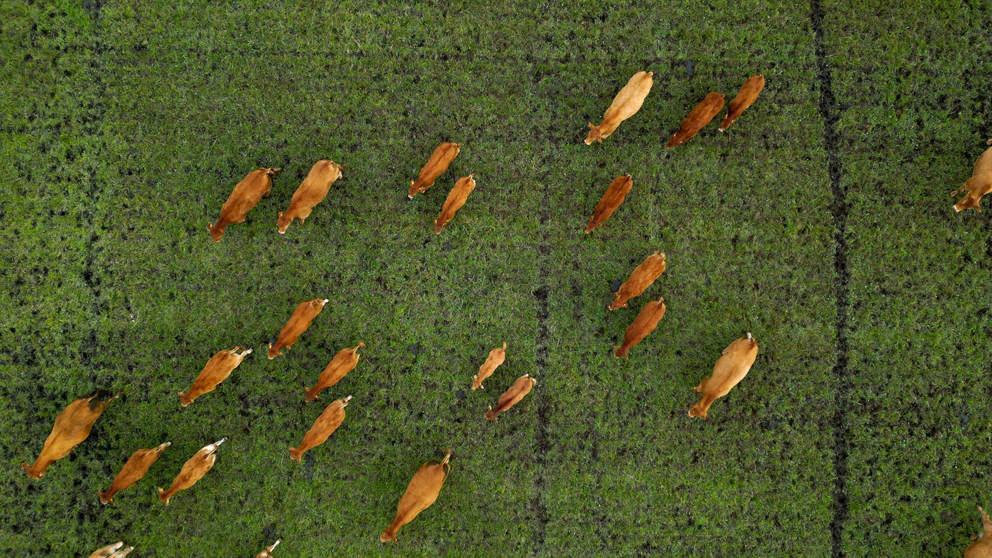 Nordic Bar Stool - Oak - Exklusiv barstol i ek och läder