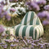 sackit Chair Outdoor i Renesse Olive – miljöbild